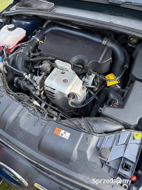 2014 Ford Focus MK3 nieuszkodzony Aleksandrów Kujawski