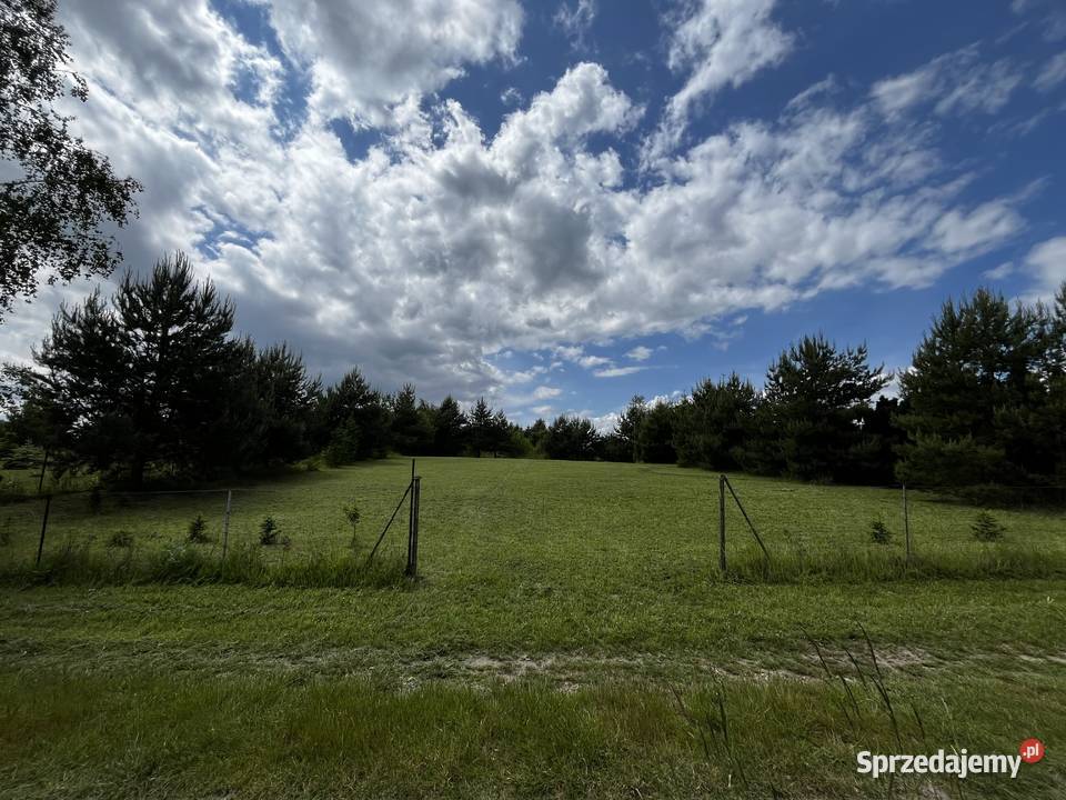 Działka rekreacyjna Jelenin 1704 m2 sprzedam