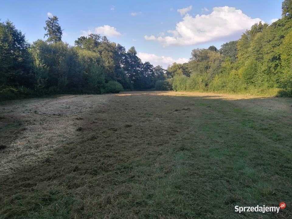 Mulczowanie Koszenie dolnośląskie Panków