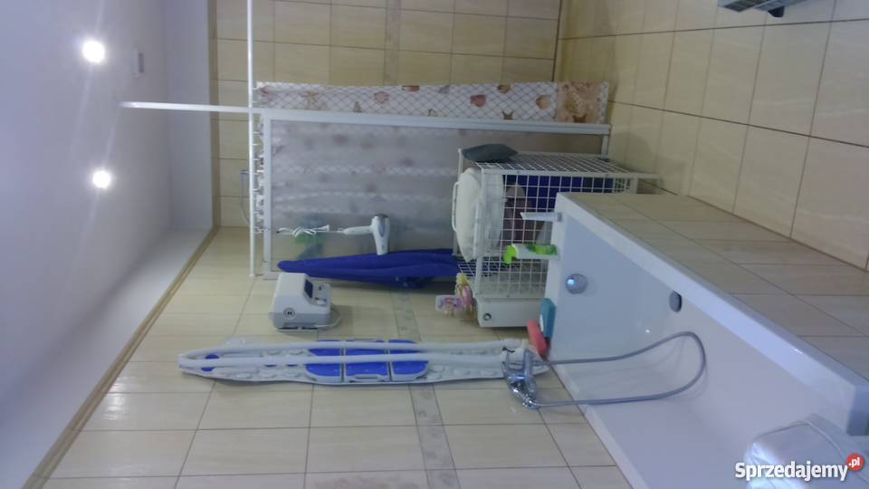 sprzedam bliźniak Kamionki siatka Kamionki