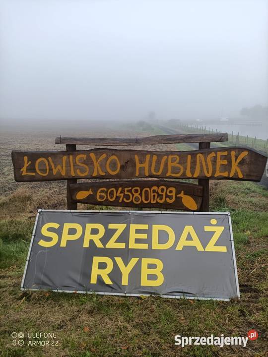 Sprzedaż Ryb Łowisko wędkarskie Hubinek Delikatesy sprzedam
