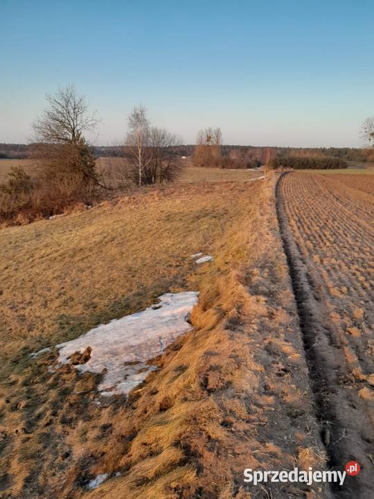 Działka w naturze kujawsko-pomorskie Janowo