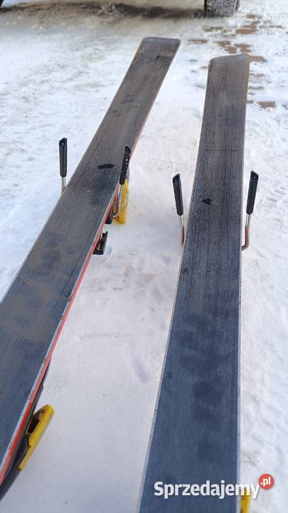 Narty salomon Krasnystaw