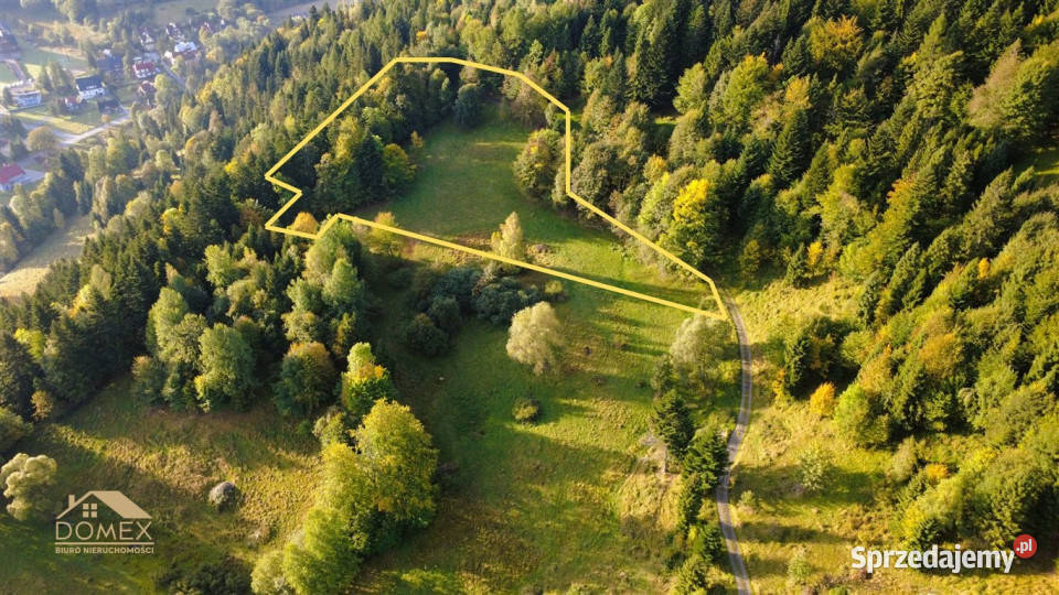 Działka 7198m2 Zawoja sprzedam