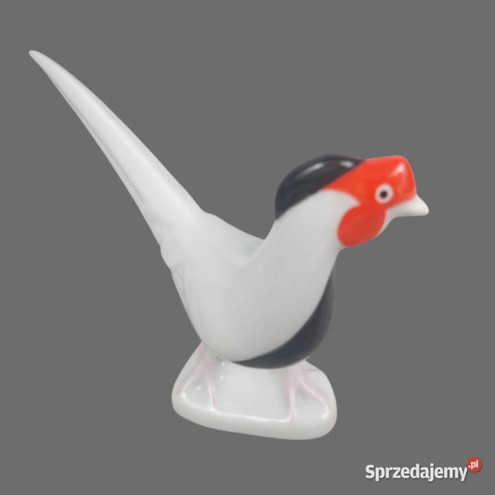 Look Bażant biało czarny porcelana Cluj Rumunia Bronisze sprzedam