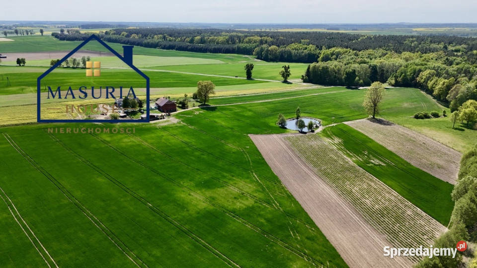 Działka lesie 15 min Iławy i Jezioraka Sprzedaż Gulb sprzedam