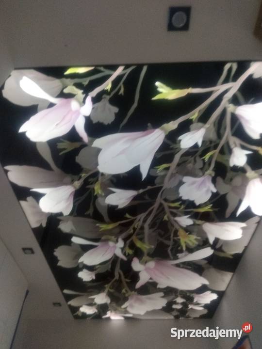 Sufity napinane mazowieckie Radom