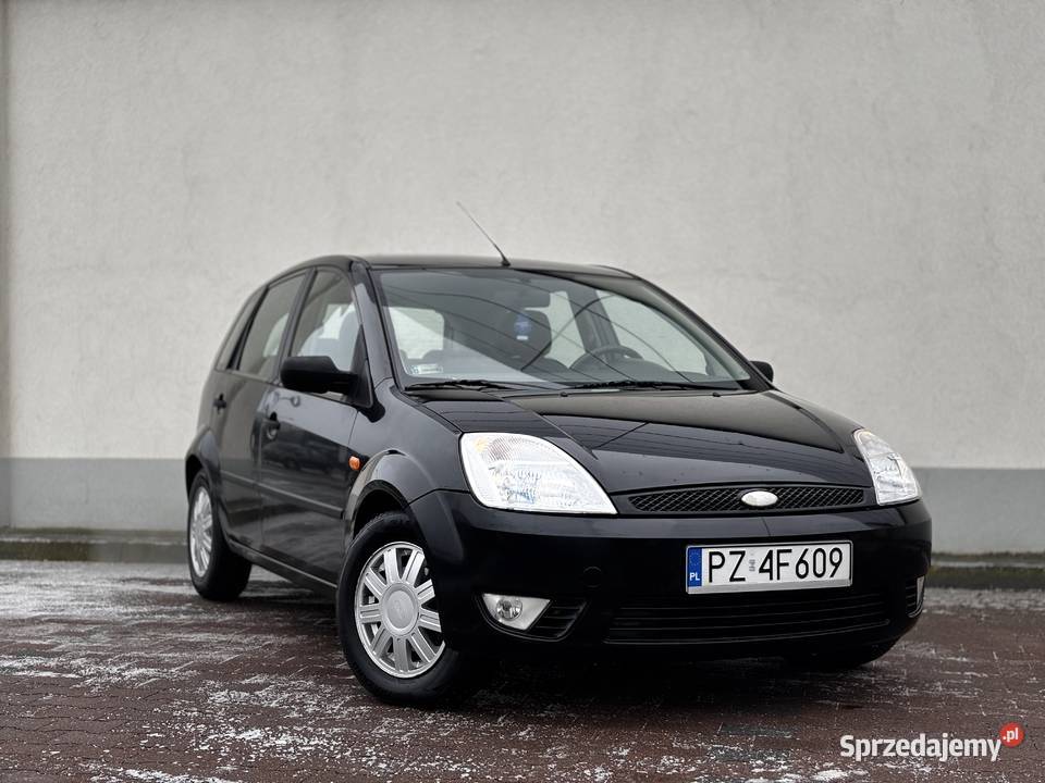 zadbany klimatyzacja nowe opony opłaty do końca benzyna Kamionki