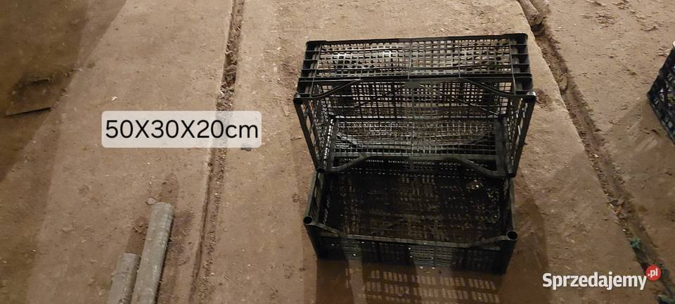 Skrzynki plastikowe 60x40x20 10 Czempiń