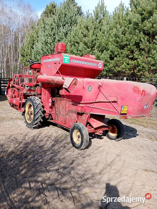 Massey Ferguson 31