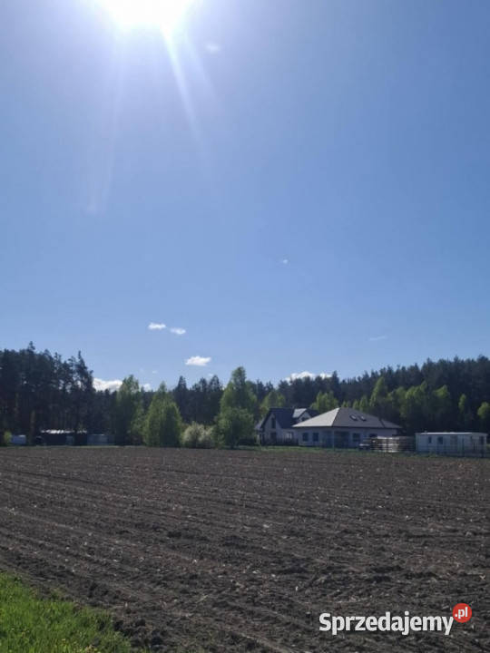 1050 m2 działka budowlana m Skrybicze 250zł/m2 sprzedam