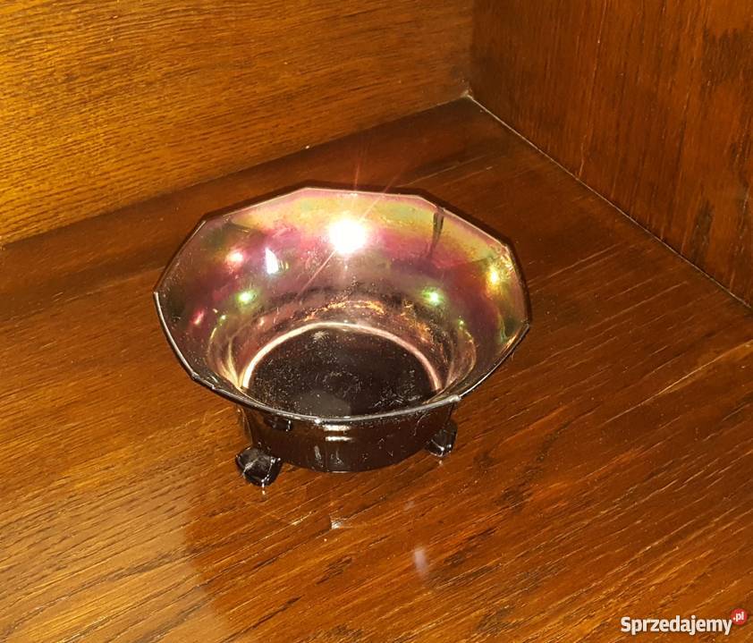 Paterka opalizująca Gdynia