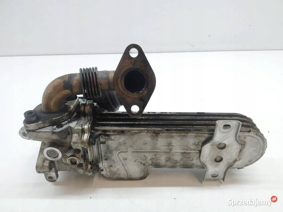 CHŁODNICA SPALIN 03G131513 20 TDI VW Volkswagen osobowe