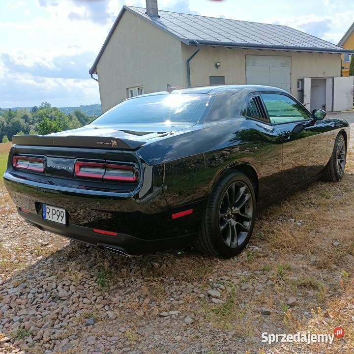 DODGE CHARGER SCAT PACK 65 RT 2021 nieuszkodzony Przemyśl
