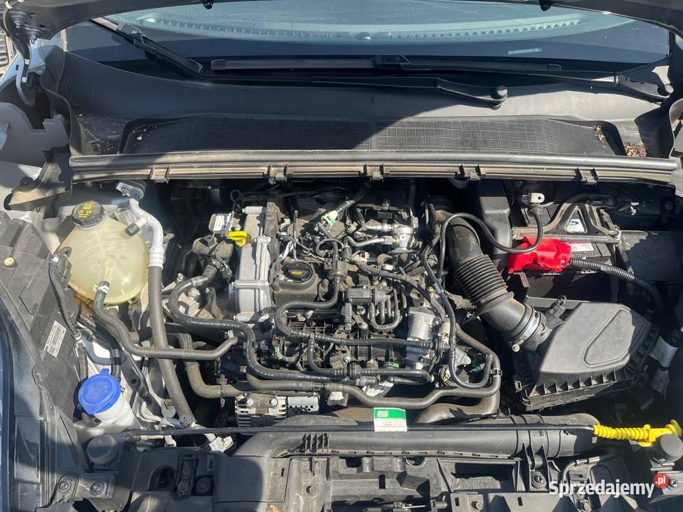 FORD Puma 10 Flexifuel MHEV 123 Titanium GN234 świętokrzyskie Kielce