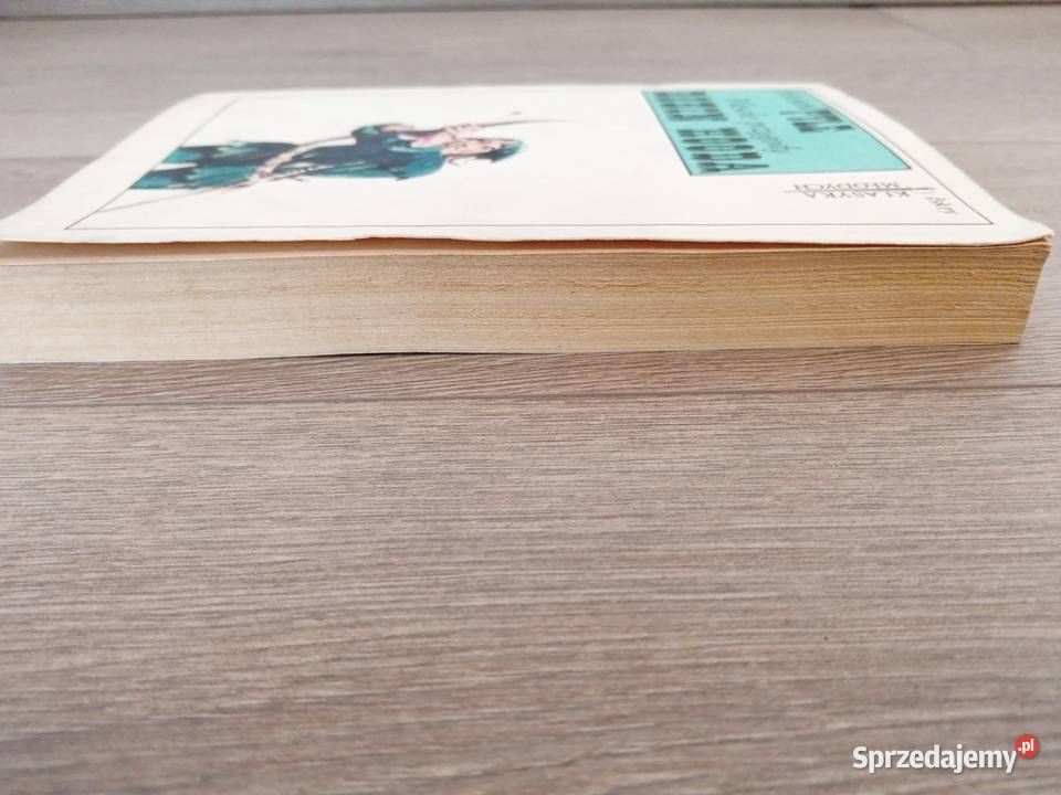 Wesołe przygody Robin Hooda dolnośląskie Wrocław sprzedam