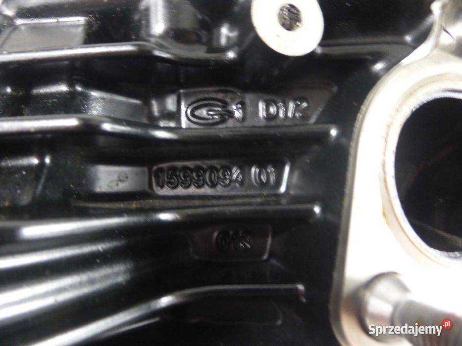 BMW R 1250 GS 19r głowica cylindra zawory prawa
