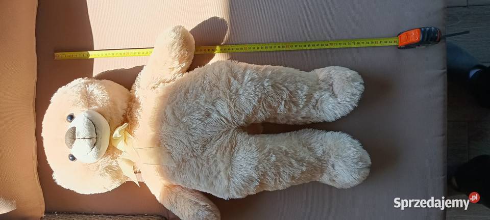 Maskotka miś Maskotki Włocławek