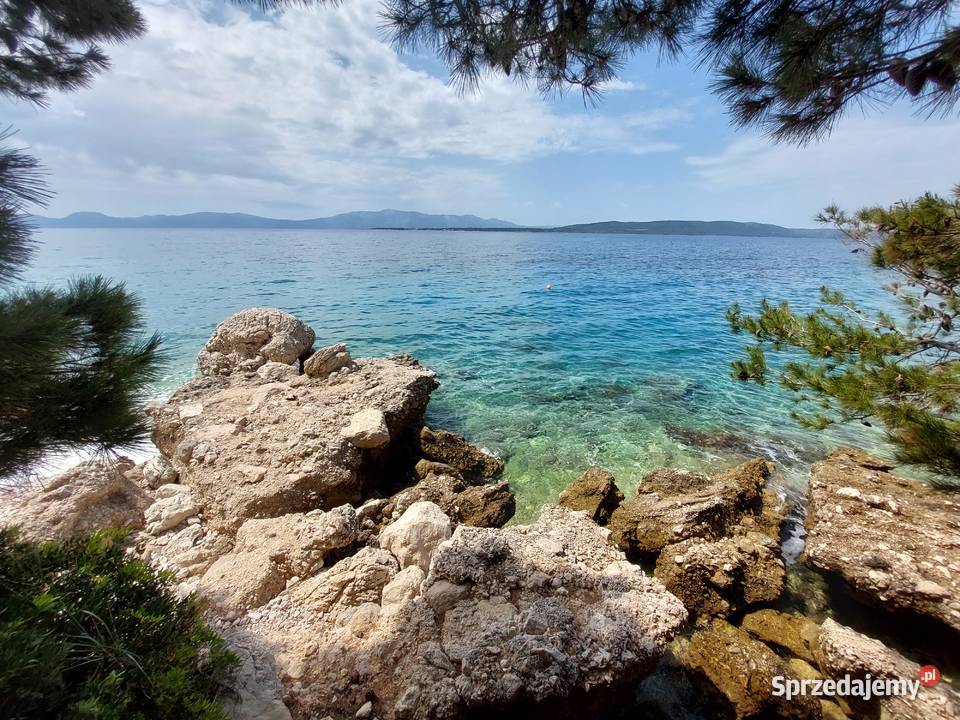 Wyjątkowo położona przyczepa kempingowa w Warszawa