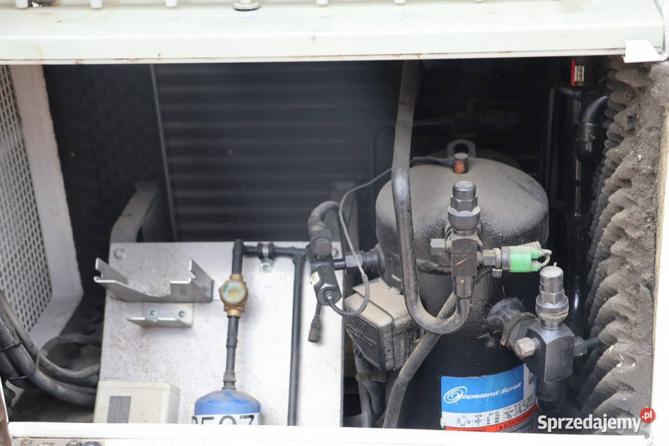 Iveco Daily Iveco 35130 Chłodnia Mrożnia 40 komputer pokładowy Syców