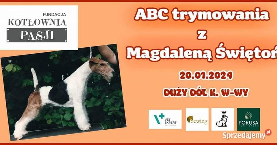 Szkolenia groomerów Duży Dół