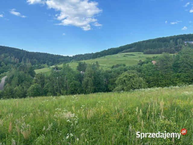 Działka budowlana Baligród na sprzedaż