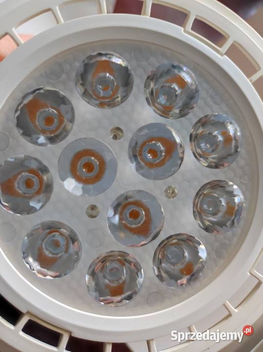 inteligentne oświetlenie żarówka LED Lux Lumen Kielce