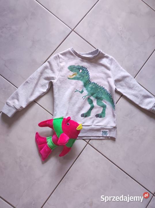 koszulka bluzka bluza dinozaur z dinozaurem Bluzy Kielce sprzedam
