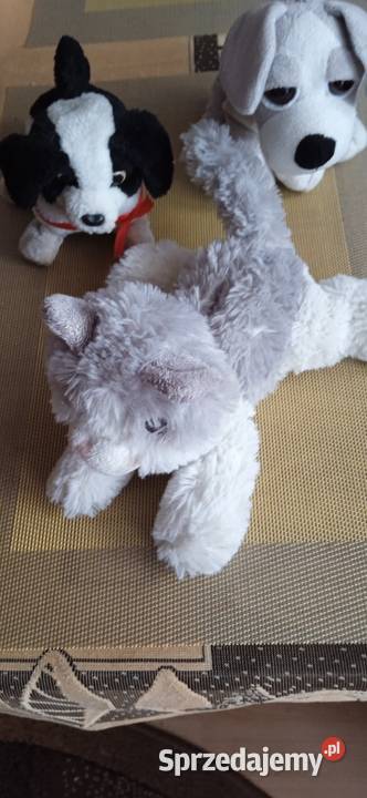 Pieski maskotki 4 lata+ Łódź