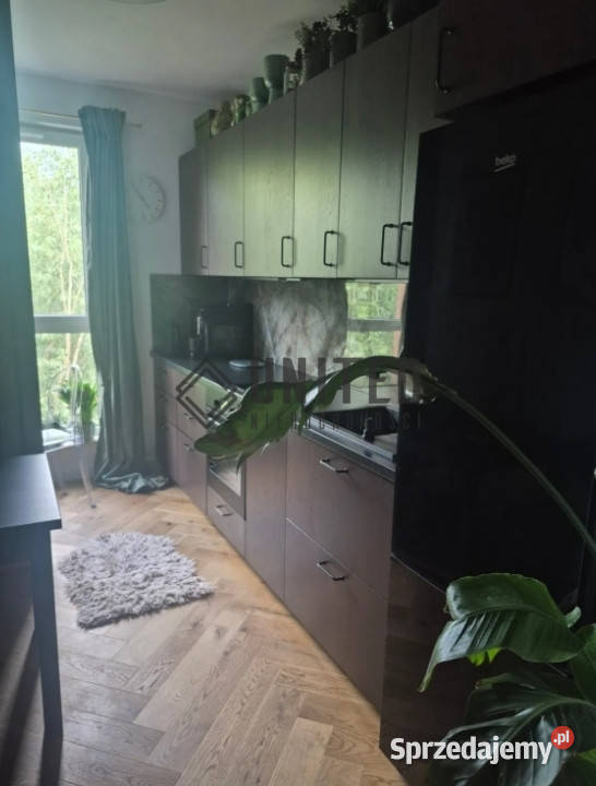 Okolica Zielnej 15000zł/m2 dolnośląskie Wrocław sprzedam