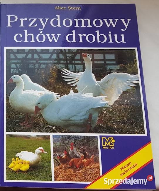 Alice Stern Przydomowy chów drobiu Zielona Góra sprzedam