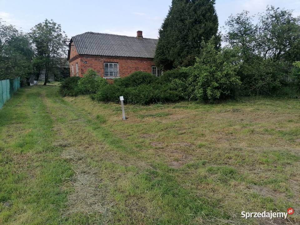Dom siedlisko duza działka lubelskie Kolonia Emska