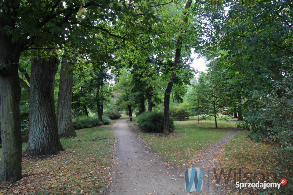 Mieszkanie sprzedam Wrocław Żerniki 4332m2 12531zł/m2