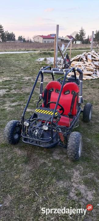 Buggy Zumico dziecka Zumico Motoryzacja Grębocin sprzedam