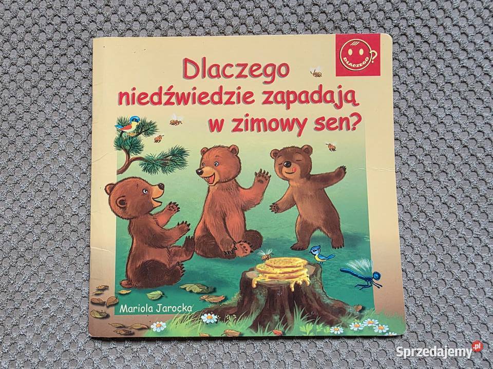 Dlaczego niedźwiedzie zapadają w zimowy sen Bajki i wierszyki Książki dla dzieci Kraków