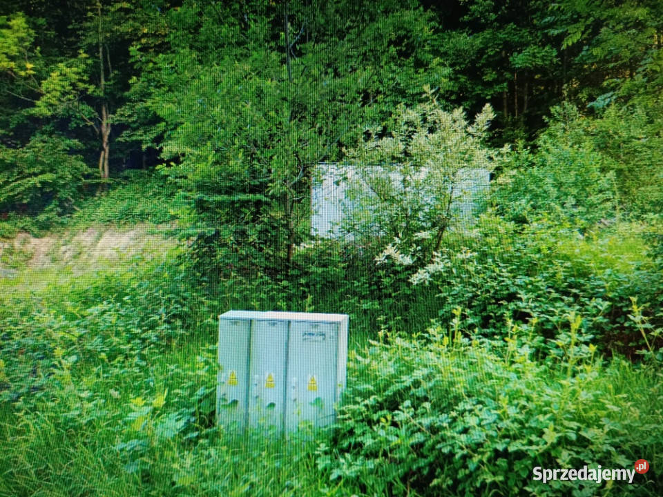 Działka udowlana w zagórniku Zagórnik