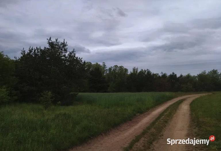 Działka z możliwością zabudowy zachodniopomorskie Świerczyna