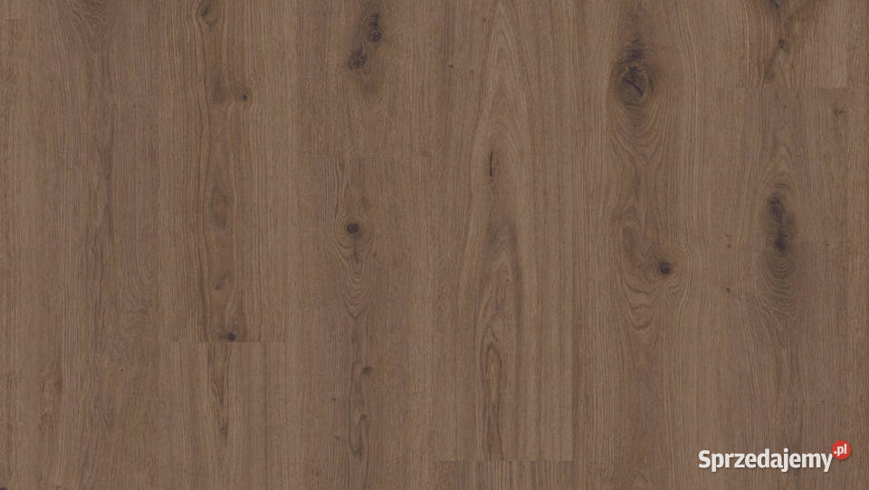 TARKETT Podłoga winylowa Delicate Oak Brown Zielona Góra