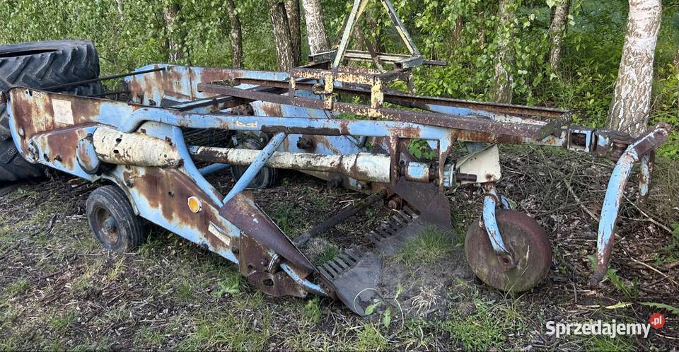 Kopaczka elewatorowa mazowieckie Wilga