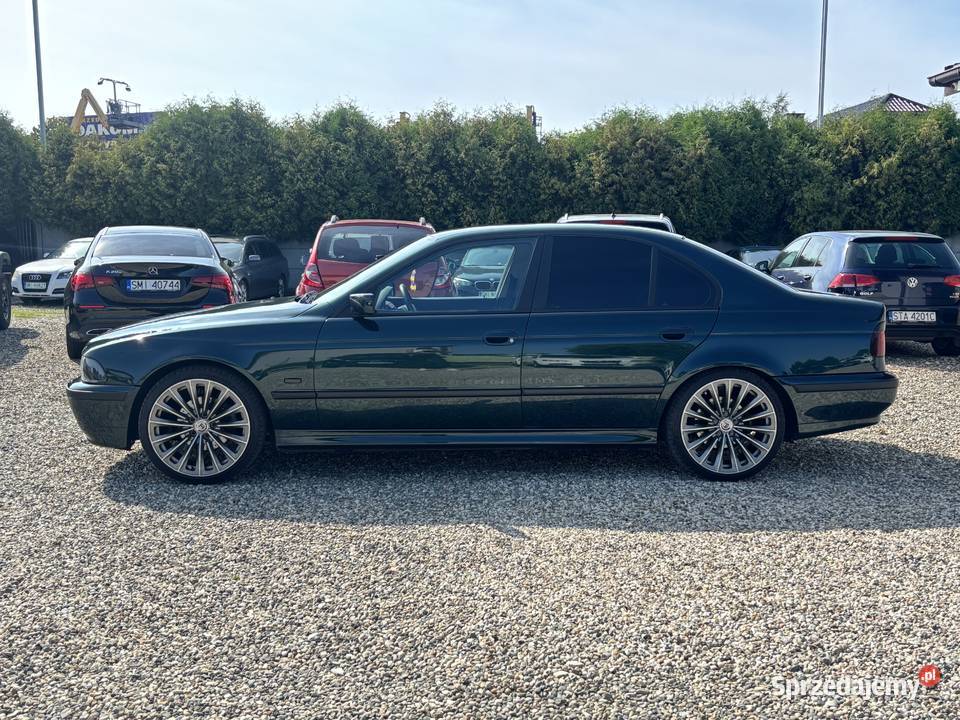 BMW 523 Paniówki
