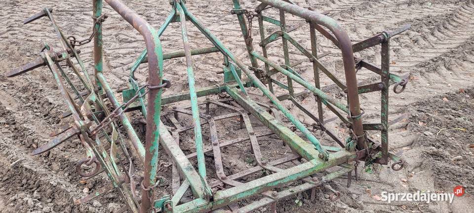 Brony 3 polowe nieuszkodzony wielkopolskie Słupca