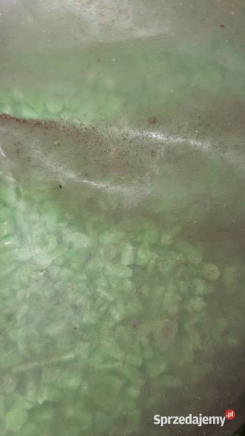 Plastikowe rurki granulki zielone polietylen Pozostałe mazowieckie Warszawa