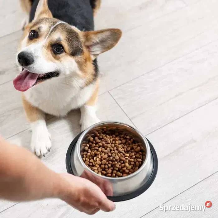 SUCHA KARMA psa wołowina 600 CZTERY ŁAPY paleta Siemiatycze