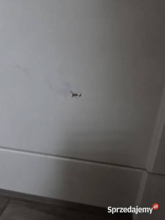Szafa dziecięca Hensvik biała ikea Łódź