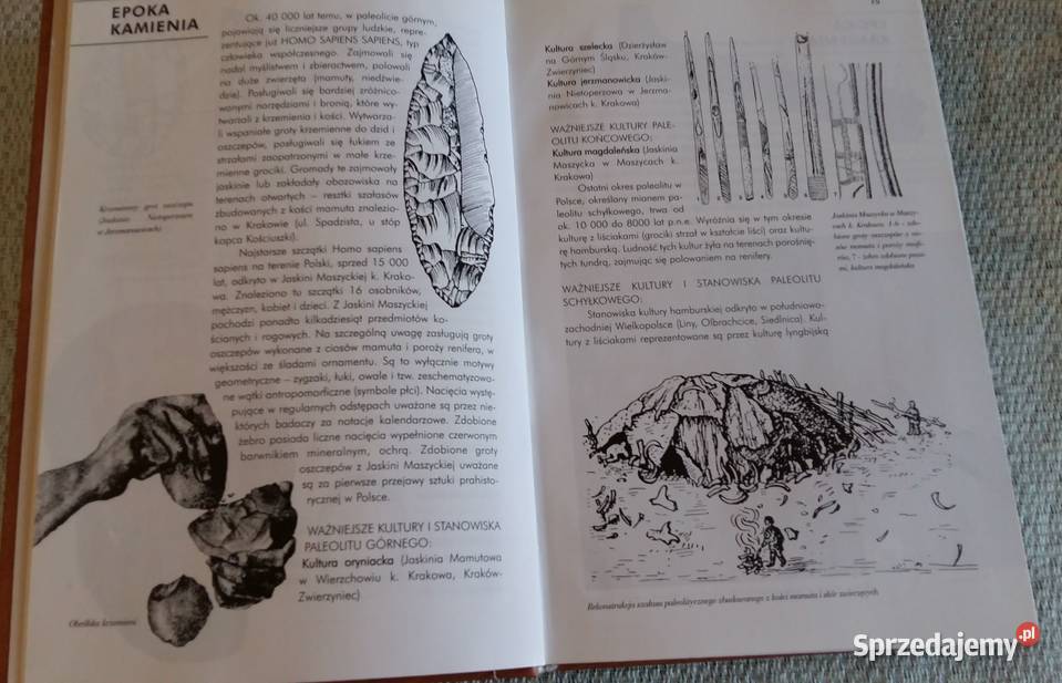 Wielka Historia Polski do 1320r Dagnan Jureczko