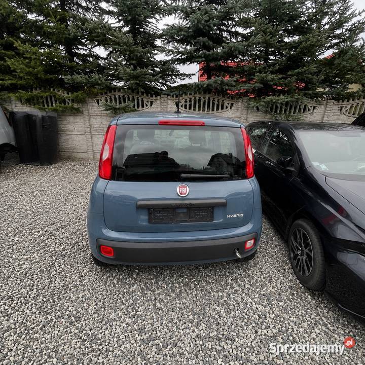 Fiat Panda III 10 Hybryda Samochody osobowe Kielce