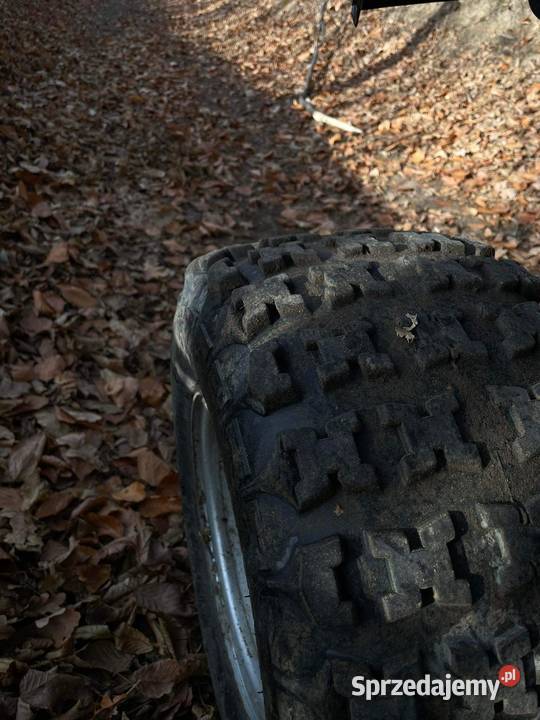 Quad Pezal 250