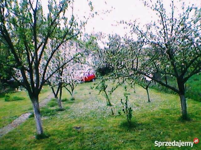 Sprzedam dom do remontu Pozostałe Bocheniec