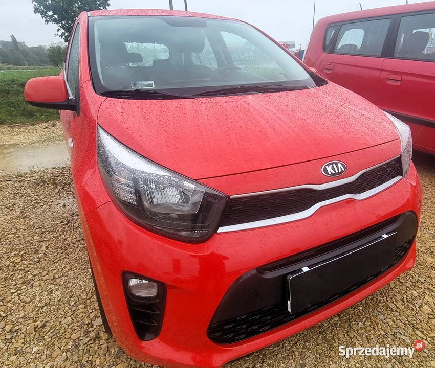 KIA PICANTO rocznik 2018 / I właściciel, polski salon