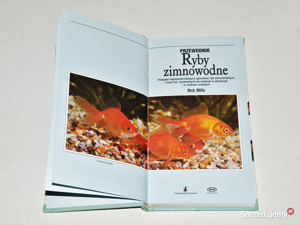 Ryby zimnowodne Przewodnik Dick Mills Solis Poradniki, albumy i reportaże